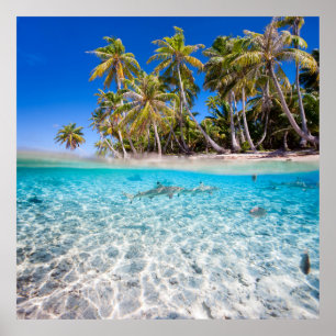 Tropical island under and above water poster