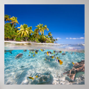 Tropical island under and above water poster