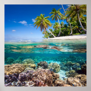 Tropical island under and above water poster