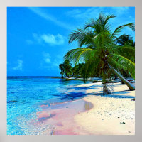 Tropical Island With Palm Trees And Sandy Beach