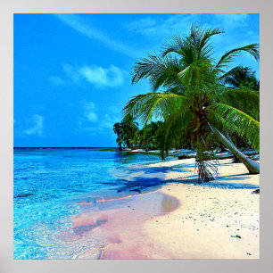 Tropical Island With Palm Trees And Sandy Beach Poster