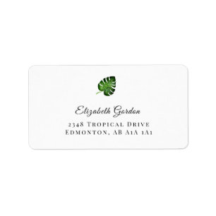 Tropical Jungle Leaf Monstera Elegant Chic Label