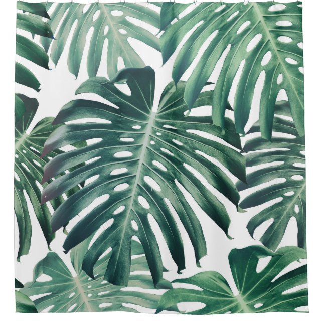 Tropical Jungle Leaves Floral Background (Front)