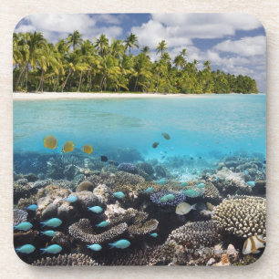 Tropical Lagoon in South Ari Atoll in the Coaster