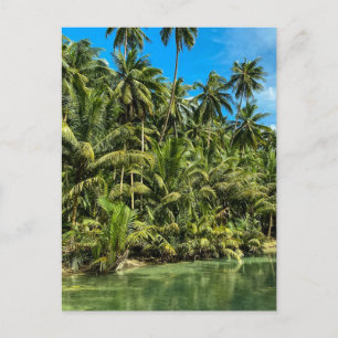 Tropical landscape, philippines, Kawasan falls Cas Postcard