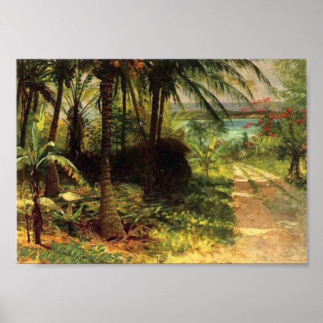 Tropical Landscape Poster (Front)