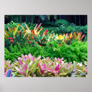 Tropical Landscape Poster