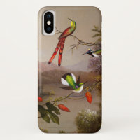Tropical Landscape with Ten Hummingbirds Heade