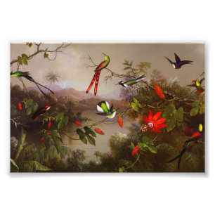 Tropical Landscape with Ten Hummingbirds Heade Photo Print