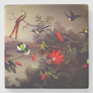 Tropical Landscape with Ten Hummingbirds Heade Stone Coaster