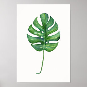 Tropical Leaf (Monstera) Watercolor Poster