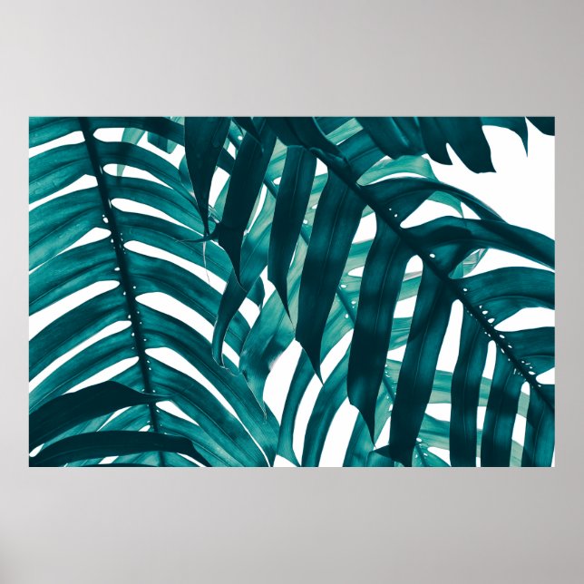 tropical leaf,  stripe of exotic foliage in rain f poster (Front)