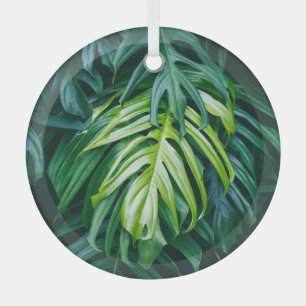 Tropical leaves: dark nature background. glass ornament