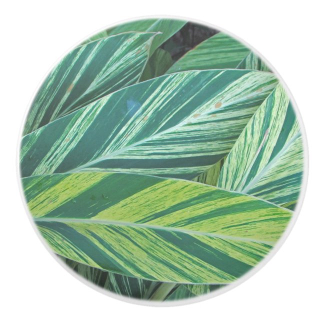 Tropical Leaves Striped Green Foliage Tropics Ceramic Knob (Front)
