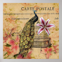 tropical lily flower birdcage vintage peacock