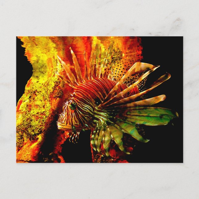 Tropical Lionfish Photo Art Postcard (Front)