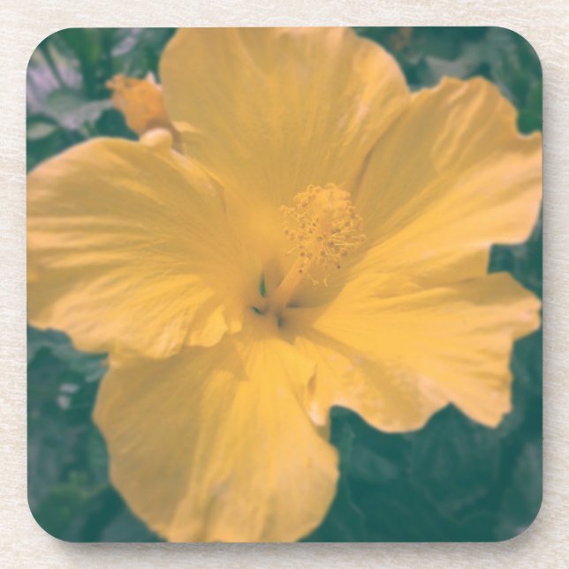Tropical Looking Flower Coaster (Front)
