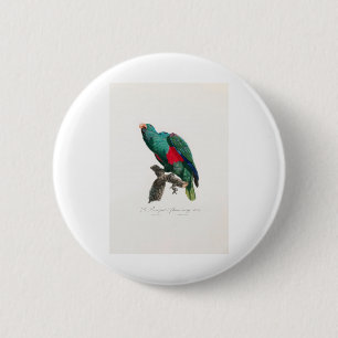 tropical macaw parrot 2 inch round button