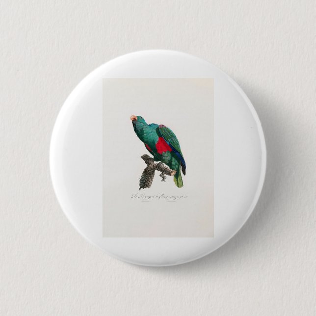 tropical macaw parrot 2 inch round button (Front)