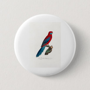 tropical macaw parrot 2 inch round button