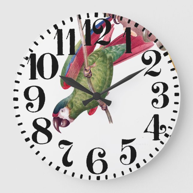 Tropical Macaw Parrot Bird Big Number Wall Clock (Front)