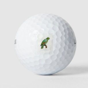 tropical macaw parrot golf balls