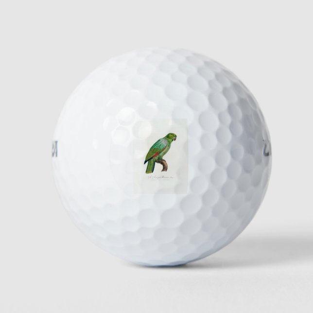 tropical macaw parrot golf balls (Front)