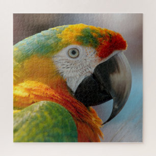 Tropical Macaw Parrot Jigsaw Puzzle