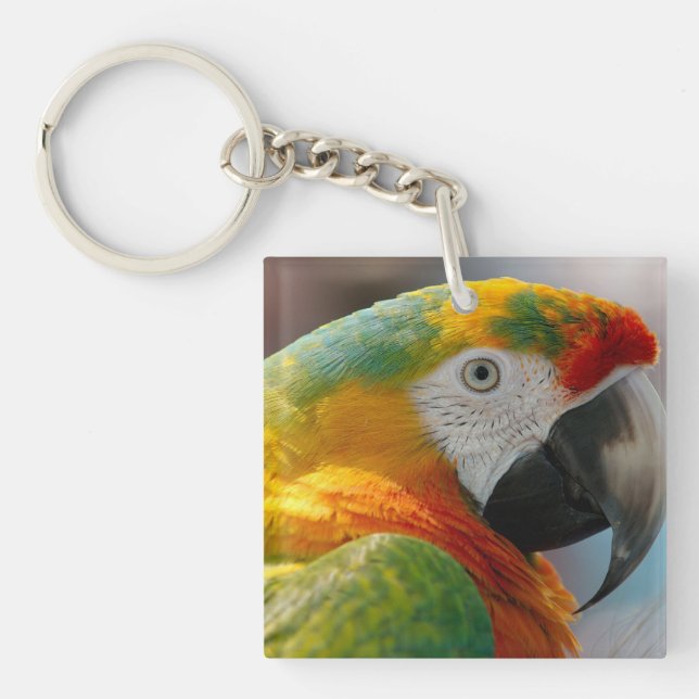 Tropical Macaw Parrot Keychain (Front)