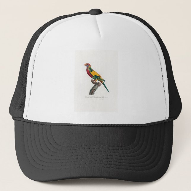 tropical macaw parrot trucker hat (Front)