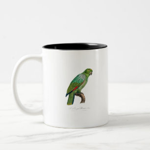 tropical macaw parrot Two-Tone coffee mug