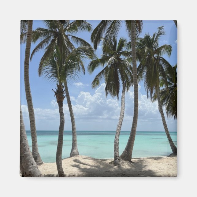 Tropical Magnet (Front)