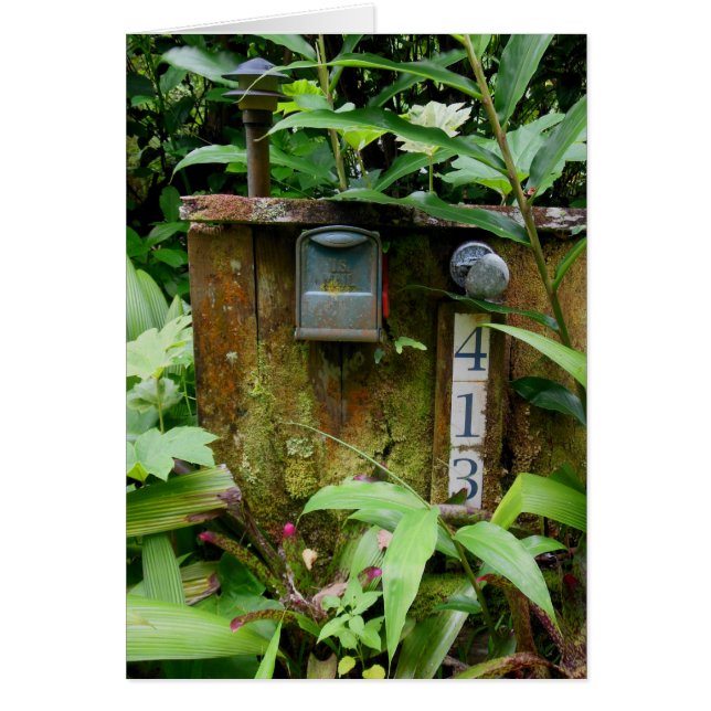 Tropical Mail Box (Front)