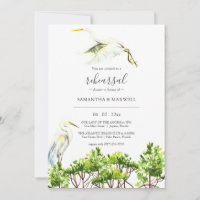 Tropical Mangroves and Bird Rehearsal Dinner