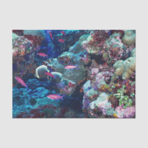 Tropical Marine Life Tissue Paper