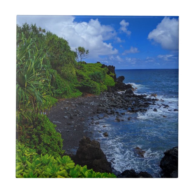 Tropical Maui Hawaiian Island Beach Tile (Front)