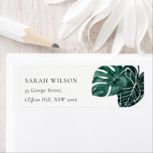 Tropical Monstera Green Foliage Adresse Leafy