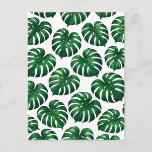 Tropical Monstera Leaf Pattern Postcard