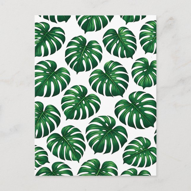 Tropical Monstera Leaf Pattern Postcard (Front)