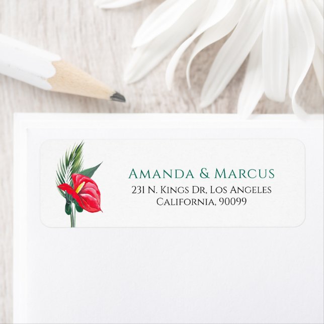 Tropical Oases Anthurium Flowers Wedding (Insitu)