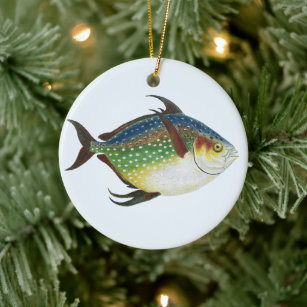 Tropical Opah Fish, Vintage Marine Aquatic Animal Ceramic Ornament