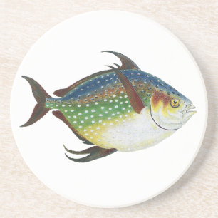 Tropical Opah Fish, Vintage Marine Aquatic Animal Coaster