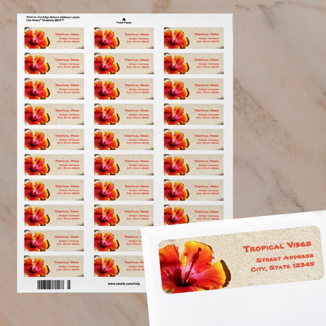 Tropical Orange Hibiscus Blossom on Sand address (Creator Uploaded)