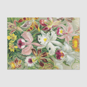 Tropical Orchid Flowers Floral Tissue Paper
