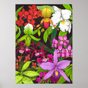 Tropical Orchid Garden Poster