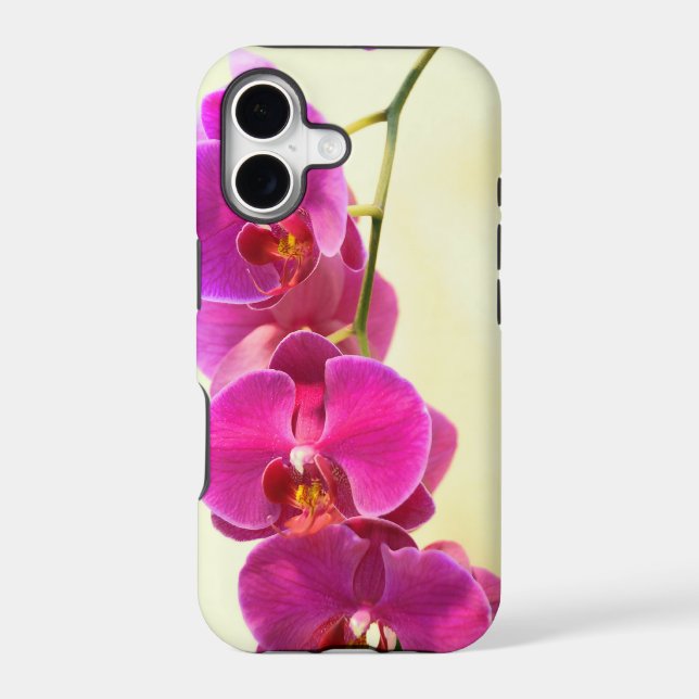 Tropical Orchids (Back)