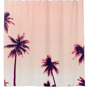 Tropical palm coconut trees on sunset sky nature b