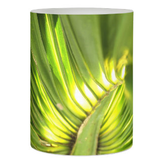 Tropical Palm leaf design