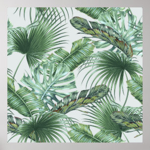 Tropical palm leaves, monstera, banana leaf, jungl poster