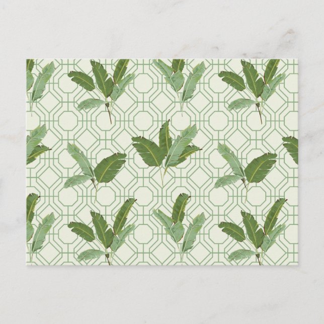 Tropical Palm Leaves Postcard (Front)